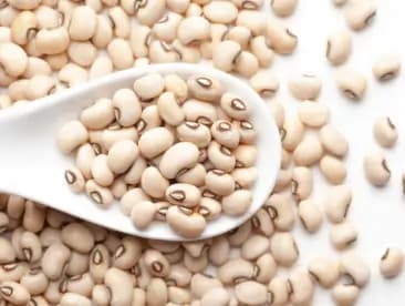 mix-pulses-Rongi